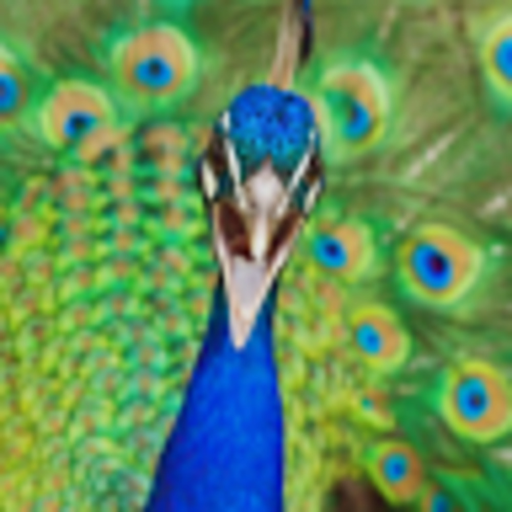 Meet your Posher, Justine